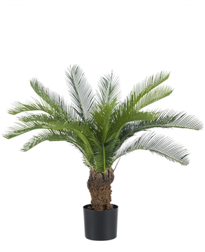 Le Palmier Cycas Artificiel 80 cm possède un long cycas vert courbé et un tronc épais et structuré. La plante est dans un simple pot noir sur un fond blanc uni.