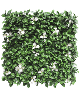 La Haie Artificielle Gardénia à fleur blanche 50x50 cm UV est un panneau carré aux feuilles vertes denses et aux fleurs blanches éparses sur fond blanc.