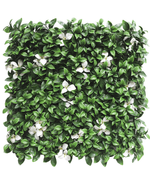 La Haie Artificielle Gardénia à fleur blanche 50x50 cm UV est un panneau carré aux feuilles vertes denses et aux fleurs blanches éparses sur fond blanc.