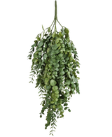 La plante artificielle suspendue Eucalyptus 76 cm possède des feuilles d'eucalyptus artificielles denses et en cascade aux formes rondes et ovales, parfaites pour ajouter de la verdure à n'importe quel espace.