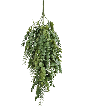 La plante artificielle suspendue Eucalyptus 76 cm possède des feuilles d'eucalyptus artificielles denses et en cascade aux formes rondes et ovales, parfaites pour ajouter de la verdure à n'importe quel espace.