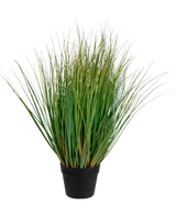 Le bonsaï d'oignon et d'herbe artificielle avec pot est une plante de gazon artificiel ignifuge de 70 cm de haut avec de longues brins verts dans un pot noir, sur un fond blanc uni.