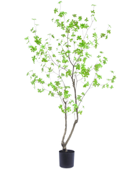 Plante artificielle Enkianthus 180 cm