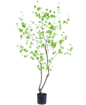 La plante artificielle Enkianthus 180 cm est une plante en pot haute et élancée avec de fines branches et des feuilles vert vif sur un fond blanc uni.
