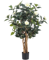 La plante artificielle Camellia japonica 100 cm possède plusieurs hautes tiges brunes, des feuilles vert foncé et des fleurs artificielles blanches sur un fond blanc uni.