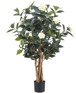 La plante artificielle Camellia japonica 100 cm possède plusieurs hautes tiges brunes, des feuilles vert foncé et des fleurs artificielles blanches sur un fond blanc uni.