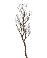 La Branche Décorative Art 118 cm est une branche décorative haute et sans feuilles avec de nombreuses tiges fines et torsadées s'élevant vers le haut, disposées sur un fond blanc uni.