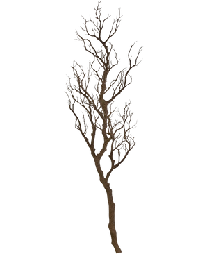 La Branche Décorative Art 118 cm est une branche décorative haute et sans feuilles avec de nombreuses tiges fines et torsadées s'élevant vers le haut, disposées sur un fond blanc uni.