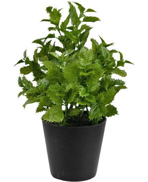 Plante artificielle Perilla 25 cm : Une plante au feuillage vert vif avec des bords dentelés dans un simple pot noir, parfaite pour ajouter une touche de nature à n'importe quelle pièce.