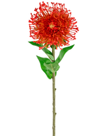 La fleur artificielle Protea 73 cm rouge a des pétales rouges vifs, des feuilles vertes et une longue tige mince, ce qui en fait une fleur artificielle saisissante qui ajoute une beauté durable à n'importe quel espace.