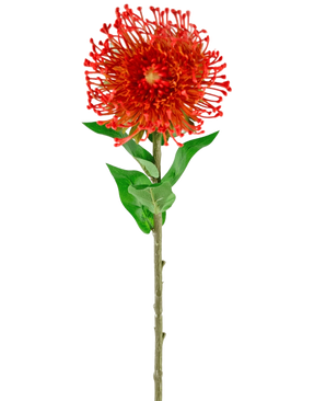 La fleur artificielle Protea 73 cm rouge a des pétales rouges vifs, des feuilles vertes et une longue tige mince, ce qui en fait une fleur artificielle saisissante qui ajoute une beauté durable à n'importe quel espace.