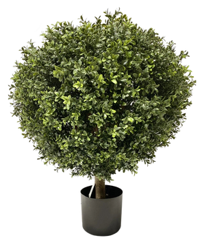 Le Buis Artificiel sur tige UV d60 cm est un topiaire artificiel dense et rond avec de petites feuilles vertes et une seule tige visible, soigneusement taillé en boule et placé dans un simple pot noir.