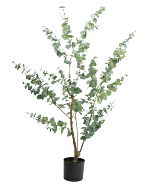 La Plante Artificielle Eucalyptus 150 cm est un grand eucalyptus artificiel en pot avec de longues branches fines et des feuilles rondes vert argenté, sur un fond uni blanc.