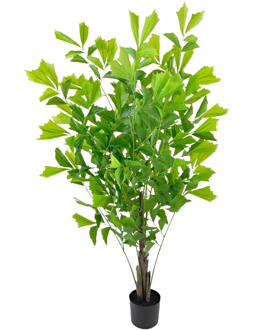 Le palmier queue de poisson artificiel 150 cm est une plante d'intérieur verte luxuriante avec de multiples tiges dressées et de grandes feuilles en forme d'éventail, présentée dans un simple pot noir sur fond blanc.