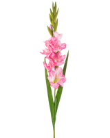 Une seule fleur artificielle Glaïeul de 93 cm rose vif avec plusieurs fleurs et bourgeons rose vif, associés à de longues feuilles vertes, sur fond blanc.
