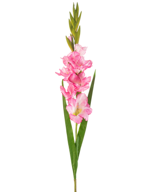 Une seule fleur artificielle Glaïeul de 93 cm rose vif avec plusieurs fleurs et bourgeons rose vif, associés à de longues feuilles vertes, sur fond blanc.