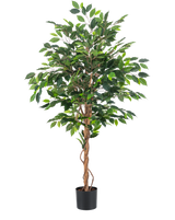 La Plante Artificielle Ficus Vert 150 cm possède plusieurs feuilles vertes et des tiges marron tressées dans un simple pot noir, sur un fond uni blanc.
