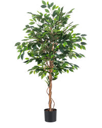 Plante artificielle Ficus Green 150 cm