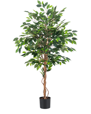 La Plante Artificielle Ficus Vert 150 cm possède plusieurs feuilles vertes et des tiges marron tressées dans un simple pot noir, sur un fond uni blanc.
