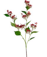 La fleur artificielle Hortensia sauvage 86 cm rouge a une tige haute avec des bouquets de petites fleurs rouge foncé et plusieurs feuilles vertes, représentées sur un fond blanc.