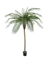 Palmier artificiel Phoenix De Luxe 210 cm
