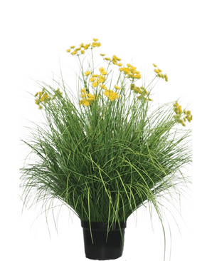 Le gazon artificiel Asteraceae 100 cm ignifuge possède des feuilles longues et étroites et des bouquets de fleurs jaune vif sur de hautes tiges. Cette plante sans entretien est magnifique dans n'importe quel intérieur sur un fond blanc.