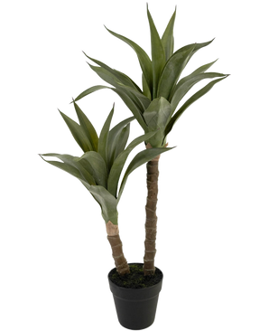 La Plante Artificielle Agave 76 cm possède deux tiges longues et épaisses avec des feuilles vertes pointues qui ressemblent à un agave, présentées dans un pot en plastique noir sur fond blanc uni.