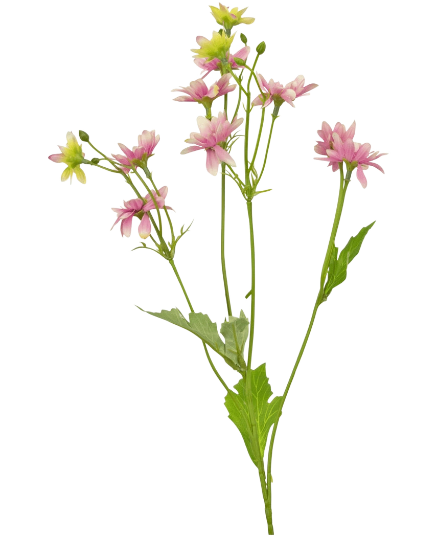 La Fleur Artificielle Madelief 55 cm rose est une fleur artificielle avec une seule tige verte avec plusieurs branches, chacune décorée de délicates fleurs ressemblant à des marguerites roses et blanches et de feuilles vertes dentelées, représentées sur un fond blanc.