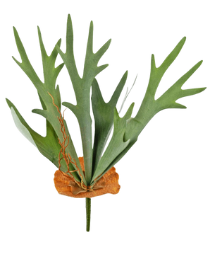 La plante artificielle Staghorn 53 cm a des feuilles vertes en forme de bois et une base marron en forme de bouclier, sur un fond blanc uni.
