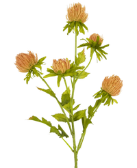 Fleur artificielle Chardon 66 cm pêche