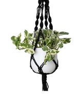 Hangtouw Macrame Single Spiral Knot Zwart Ø13 x H100 cm