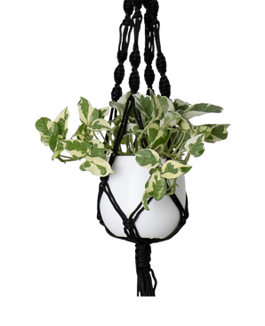 Hangtouw Macrame Single Spiral Knot Zwart Ø13 x H100 cm