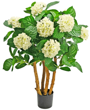 L'hortensia artificiel UV 85 cm blanc est une plante artificielle en pot avec des tiges brunes robustes, de grandes feuilles vertes et des bouquets de fleurs blanches ressemblant à des hortensias au sommet.