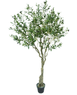 L'olivier artificiel de 200 cm a un tronc élancé brun clair, de nombreuses feuilles vertes et de petites olives foncées sur les branches. Cet olivier artificiel semble réaliste sur un fond blanc.