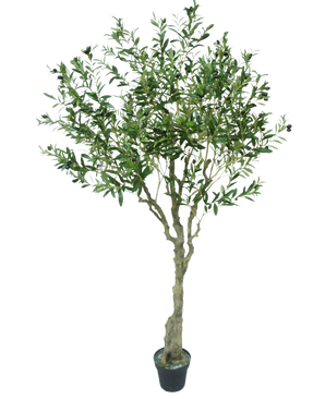 L'olivier artificiel de 200 cm a un tronc élancé brun clair, de nombreuses feuilles vertes et de petites olives foncées sur les branches. Cet olivier artificiel semble réaliste sur un fond blanc.