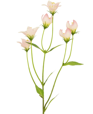 De Kunstbloem Aster 60 cm roze heeft een steel met meerdere lichtroze, klokvormige bloemen en groene bladeren. De delicate kunstbloemblaadjes hebben subtiele kleurverlopen en zachte randen tegen een witte achtergrond.