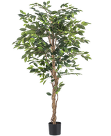 La plante artificielle Ficus 180 cm ignifuge a des troncs bruns torsadés et des feuilles vertes luxuriantes, dans une petite jardinière noire sur fond blanc - une plante élégante et sans entretien pour tout intérieur.