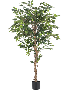 La plante artificielle Ficus 180 cm ignifuge a des troncs bruns torsadés et des feuilles vertes luxuriantes, dans une petite jardinière noire sur fond blanc - une plante élégante et sans entretien pour tout intérieur.