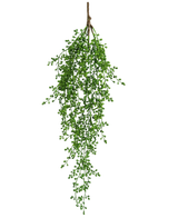 La plante artificielle suspendue Senecio 76 cm possède une seule branche de verdure artificielle avec de petites feuilles vertes en forme de grappe qui pendent élégamment vers le bas sur un fond blanc uni.