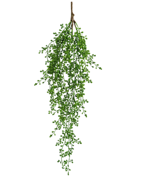 La plante artificielle suspendue Senecio 76 cm possède une seule branche de verdure artificielle avec de petites feuilles vertes en forme de grappe qui pendent élégamment vers le bas sur un fond blanc uni.