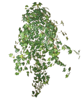 Le Lierre Artificiel Deluxe Vert 90 cm est une grappe de vignes de lierre vert dense s'étendant vers le bas et vers l'extérieur, isolées sur un fond blanc uni.