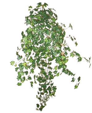 Le Lierre Artificiel Deluxe Vert 90 cm est une grappe de vignes de lierre vert dense s'étendant vers le bas et vers l'extérieur, isolées sur un fond blanc uni.