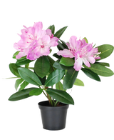 La plante artificielle Rhododendron 34 cm présente des feuilles d'un vert éclatant et des bouquets de fleurs rose clair dans un petit pot noir, sur un fond blanc uni.