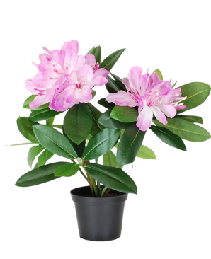 La plante artificielle Rhododendron 34 cm présente des feuilles d'un vert éclatant et des bouquets de fleurs rose clair dans un petit pot noir, sur un fond blanc uni.