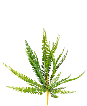 La fougère artificielle de 55 cm a de longues feuilles pointues d'un vert vif qui dépassent vers l'extérieur, sur un fond blanc uni.
