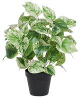 La Vigne dorée artificielle vert-blanc en pot UV 35 cm présente des feuilles panachées vertes et blanches en forme de coeur dans un simple pot noir, isolées sur un fond blanc.