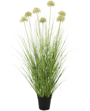 Le gazon artificiel Oignon 90 cm ignifuge possède des feuilles vertes longues et fines et des tiges hautes avec des grappes rondes vert clair. Cette plante artificielle ignifuge ajoute une verdure durable à n'importe quelle pièce.