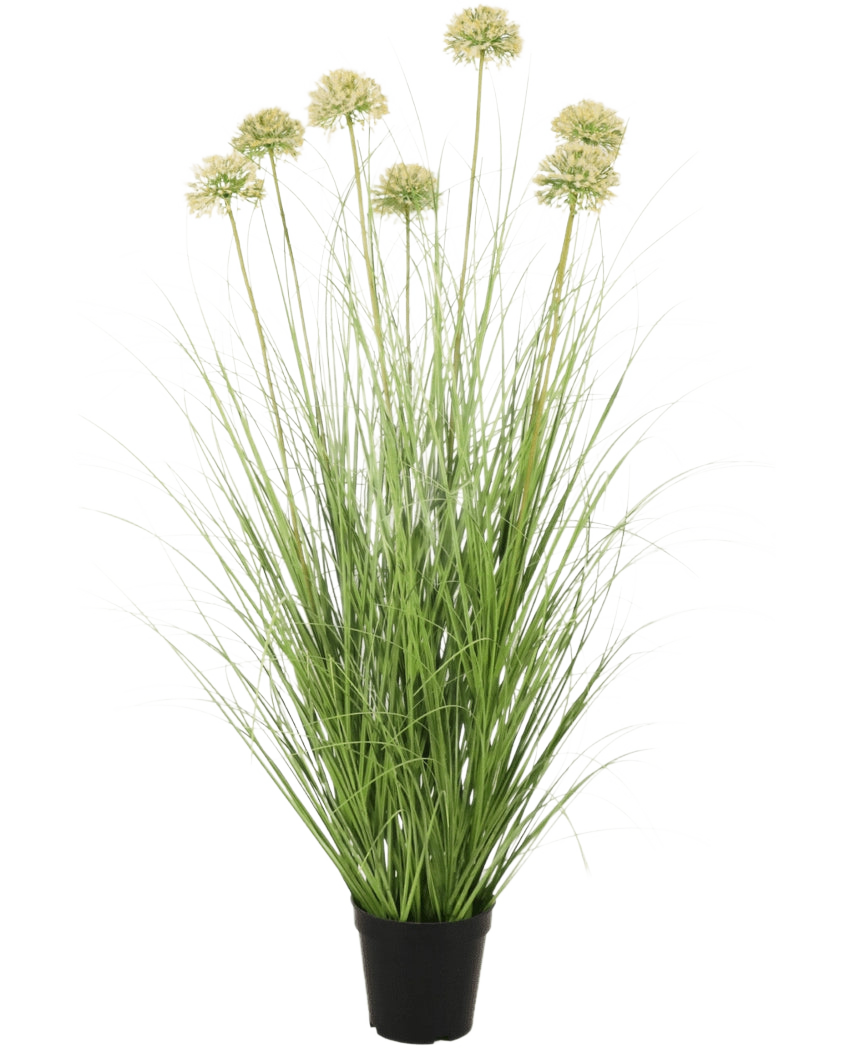 Le gazon artificiel Oignon 90 cm ignifuge possède des feuilles vertes longues et fines et des tiges hautes avec des grappes rondes vert clair. Cette plante artificielle ignifuge ajoute une verdure durable à n'importe quelle pièce.