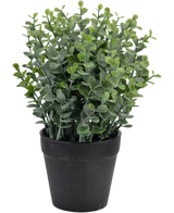 La Plante Artificielle Pumila 23 cm est une petite plante verte en pot avec des feuilles rondes dans un simple pot noir, représentée sur un fond blanc.
