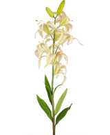 Une seule grande fleur artificielle de lys Martagon de 78 cm rose avec des fleurs de lys roses et des feuilles vertes sur un fond blanc uni ; certaines fleurs sont ouvertes tandis que deux boutons au sommet restent fermés.